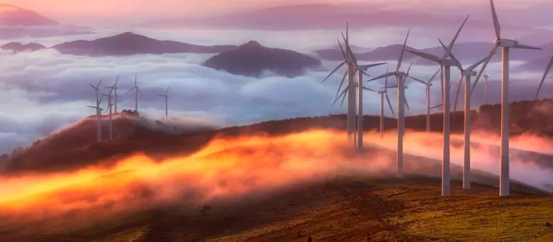 muestraempresa_testimonio